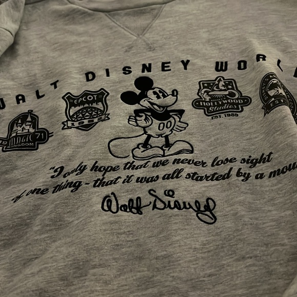 Disneyland Resort Sweater by Disney Parks. Good condition. Unisex adult medium. - Picture 2 of 2